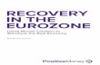 RECOVERY IN THE EUROZONE - Positive Money · PDF file1.2 Austerity and the Sovereign Debt Crisis ... this approach to generating a recovery in the Eurozone ... the immediate impact