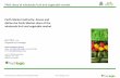 PMA share of wholesale fruit and vegetable · PDF filePMA share of wholesale fruit and vegetable market ... vegetables. 7 → There is a ... Model framework -A reconciliation of supply