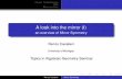 an overview of Mirror Symmetry - Colorado State Universityrenzo/mirror.pdf · an overview of Mirror Symmetry Renzo Cavalieri ... A mathematical realization of a SCFT is given by a