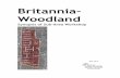 Britannia Woodland workshop summary - Vancouvervancouver.ca/files/cov/britannia-woodland-workshop-summary.pdf · 1 Synopsis of Britannia-Woodland Sub-Area Workshop Grandview-Woodland