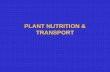 PLANT NUTRITION & TRANSPORT - classpages ...classpages.warnerpacific.edu/BDuPriest/BIO 102/Lecture 11...PLANT NUTRITION & TRANSPORT Nutrient Element essential for metabolic functions
