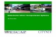 Sustainable Urban Transportation Systems - UN CC:Learn · PDF fileSustainable Urban Development Section, ... management plan for controlling this rapid increase in ... recent study