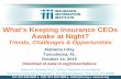 What’s Keeping Insurance CEOs Awake at Night?training.ua.edu/insurance-day/_resources/documents/hartwig.pdfWhat’s Keeping Insurance CEOs Awake at Night? ... Insurers Paid Out Nearly