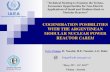 COGENERATION POSIBILITIES WITH THE ARGENTINEAN MODULAR ... · PDF fileCOGENERATION POSIBILITIES WITH THE ARGENTINEAN MODULAR NUCLEAR POWER REACTOR CAREM “Technical Meeting to Examine