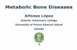 METABOLIC BONE DISEASES - University of Prince …people.upei.ca/lopez/2-bone-metabolic.pdfMETABOLIC BONE DISEASES Metabolic bone diseases are systemic bone disorders of various etiologies