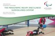 International Paralympic Committee THE PARALYMPIC · PDF fileInternational Paralympic Committee THE PARALYMPIC INJURY AND ILLNESS ... from the International Paralympic Committee. ...