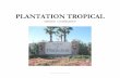 Plantation Tropical Design Guidelines - City of Plantation ... · PDF fileThe Plantation Tropical Design Guidelines suggest ... Signage should be part of the design scheme for new