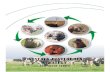 8461 Development Strategy - nda.agric.zanda.agric.za/docs/GenPub/DevStrat2007.pdf · SAOPO South African Ostrich Producers Organisation SAPA - South African Poultry Association SAPPO