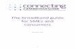 The broadband guide for SMEs and consumers … · The broadband guide for SMEs and ... work from home to improve their work-life balance. 4 ... still have a way to go in embracing