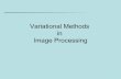 Variational Methods in Image Processing - avcr.czzoi.utia.cas.cz/files/lecture_intro_1.pdf• Application in Image Processing • P.D.E. ... • Practical Optimization: Algorithms