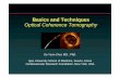 Basics and Techniques Optical Coherence · PDF file · 2008-11-28Basics and Techniques Optical Coherence Tomography . ... NC 5% FF 20% TCFA(-) SJW 0247337 59/F UA Soft Plaque ...