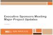 Executive Sponsors Meeting Major Project Updates · PDF fileFinancial Aid can start uploading the new 2018-2019 ... The HCM 9.2 Get Current and PeopleTools 8.55 upgrade ... BGSU’s