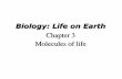 Biology: Life on Earth - PBworksmrohonors.pbworks.com/w/file/fetch/69552266/bichemppforhonors.pdf · • 3.2 How Are Organic Molecules Synthesized? p. 38 • 3.3 What Are Carbohydrates?