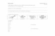 Animals WORKSHEET 3 - · PDF fileAnimals WORKSHEET 3.1 ... water Internet air food transport mobile phone ... -We classify animals and plants into the Animal Kingdom and the _____