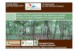 Impact of host composition and shade tree spatial ... · PDF fileImpact of host composition and shade tree spatial structure on pest infestation in cocoa agroforests Cynthia Gidoin
