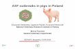 ASF outbreaks in pigs in Poland - European Commission · PDF fileASF outbreaks in pigs in Poland ... the disease •In 3 outbreaks of ... • Surveillance programme in pig holdings