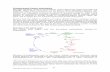 Photosynthesis (Carbon Assimilation)brandt/Chem331/Photosynthesis_Carbon... · Photosynthesis (Carbon Assimilation) ... the Calvin cycle in honor of the 1961 Nobel Laureate Melvin