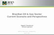 Brazilian Oil & Gas Sector Current Scenario and … BRATECC_OTC_07_05...Brazilian Oil & Gas Sector ... Development Production. ANP and PPSA Pre-salt Law ... celebrate with stakeholders
