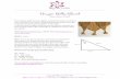 Dragon Belly Shawl - Mijo Crochet · PDF fileDragon Belly Shawl Design: Johanna Lindahl T h e D ra g o n B e lly s ha w l i s s li gh ty a sy