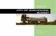 CITY OF WASHOUGAL BUDGET · PDF fileCITY OF WASHOUGAL BUDGET . CITY OF WASHOUGAL ... Governmental Accounting Labor Relations ... financial plan,