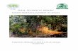 FINAL TECHNICAL REPORT - uni-freiburg.de 3. MAIN TEXT PRESENTATION AND ANALYSIS OF DATA Output 1 Causes and effects of fires understood Managing forest fires is a complex task due