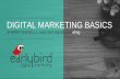 Digital Marketing Basics 2-18-2017 · PDF fileto promote or market products and services to ... - Digital Marketing Institute Digital Marketing can be through a variety of ... cars,