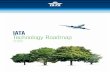 "Technology Roadmap" - International Air Transport · PDF fileIATA TECHNOLOGY ROADMAP 2013 ... 2% of global man-made carbon emissions and this would ... International Air Transport
