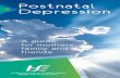 Postnatal Contact details for support Depression · PDF file» Puerperal psychosis » Postnatal depression Baby blues The ‘baby blues’ are so common they are considered normal