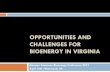 OPPORTUNITIES AND CHALLENGES FOR BIOENERGY IN · PDF filethan propane for heating poultry houses ... Eight wood pellet plants are now ... Opportunities and Challenges for Bioenergy