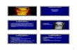Aparato respiratorio - AMERAM Aplicación Multimedia para la Enseñanza de Radiología a Alumnos de Medicina 7/48 Técnica Lectura sistemática Formas Densidades TIMO Radiografía