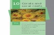 Unit- 1 Corals & coral Reefs - Ministry Of Education · PDF fileCorals and coral reefs 102 A tiny polyp protecting a giant Have you seen a coral polyp? Is it an animal or a plant?