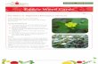 Edible Weed Cards - Kitchen Garden · PDF fileEdible Weed Cards. Identifying characteristics. Succulent ground cover with small oval-shaped waxy leaves. Interesting facts. u. ... All