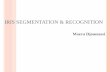 IRIS SEGMENTATION & RECOGNITIONdigital.cs.usu.edu/~xqi/Teaching/REU11/Website/Maeva/Final... · iris segmentation & recognition maeva djoumessi . iris biometrics ... iris recognition