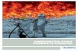 firefighting foam products catalog - Apex Fire Systems · Firefighting Foam Products Catalog ... TArGET7 Vapor Mitigation & Neutralizing Agent For use on highly toxic chemicals like