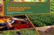 FOR CONSERVATION, AGRICULTURAL … and Opportunities for Conservation, Agricultural Production, and Social Inclusion in the Cerrado Biome 2. This document outlines a …