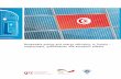 Renewable energy and energy efficiency in Tunisia ... · Renewable energy and energy efficiency in Tunisia – employment, qualification and economic effects. ... employment, qualification