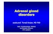 Adrenal gland disorders - mf.uni-lj.si · Adrenal gland disorders assist.prof. Tomaž Kocjan, ... severe gastric pain, ... ACTH stimulation test scheduled for next day!