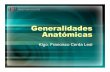 2. Generalidades Anatómicas - academico.upv.clacademico.upv.cl/doctos/PEDF-4003/{CA2A6847-2BC5-48AD-936C... · Huesos de la Cara • Sesamoideos – Ayudan a mecánica articular