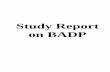 Study Report on BADP - Planning Commission · Study Report on BADP . ii ACKNOWLEDGEMENT We are highly thankful to the Planning Commission, Government of India, for financial ... 1996-97