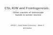 CSI, IGW and Frontogenesis · CSI, IGW and Frontogenesis: Other causes of mesoscale bands in winter storms MT417 – Iowa State University – Week 3 Bill Gallus