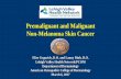 Premalignant and Malignant Non-Melanoma Skin … and Malignant Non-Melanoma Skin Cancer Elise Grgurich, D.O. and Lanny Dinh, D.O. Lehigh Valley Health Network/PCOM Department of Dermatology