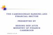 THE CAMEROONIAN BANKING AND FINANCIAL SECTOR PRESENTED … · THE CAMEROONIAN BANKING AND FINANCIAL SECTOR PRESENTED BY ... • Cameroon is, ... • 28 insurance companies with 01