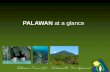 PALAWAN at a glance - wavespartnership.org · • Tagbanua • Batak • Pala’wan • Molbog . Terrestrial Land Resources ... Forest Cover Type, Palawan, 2005 . Coral reef condition,
