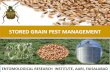 STORED GRAIN PEST MANAGEMENT - PUNJAB …parb.agripunjab.gov.pk/system/files/Stored Grain Pest 2… ·  · 2018-01-23Major Insect Pests of Stored Grains a) Khapra Beetle ... All
