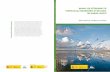 MANUAL FOR DETERMINING THE … FOR DETERMINING THE HYDROLOGICAL REQUIREMENTS OF WETLANDS. THE SPANISH CONTEXT Rafael Sánchez …