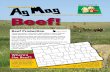 Ag Beef! - NDSU Agriculture and Extension. A cow is a beef “mother” and bull a beef “father.” North Dakota Ag in the Classroom Beef in North Dakota: Then and Now Use these