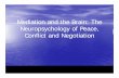 Neuropsychology of Conflict.ppt - Noll Associates of Conflict.pdf · Mediation and the Brain: The Neuropsychology of Peace, Cflit dN titiConflict and Negotiation