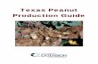 Texas Peanut Production Guide - Publications Soil and …publications.tamu.edu/PEANUTS/PUB_peanuts_Texas Peanut Production...Seedbox inoculants are prone to ... are anticipated such