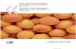 International Standards for Fruit and Vegetables - OECD · International Standards for Fruit and Vegetables APRICOTS Normes internationales pour les fruits et légumes ABRICOTS TRADE