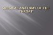 Anatomy of mouth and pharynx - Muhadharaty tissue called the nasopharyngeal tonsil ¾ The pharyngeal isthmus is the opening in the floor between the soft palate and the posterior ...